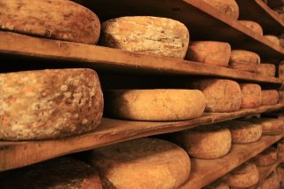 Les vieux fromages